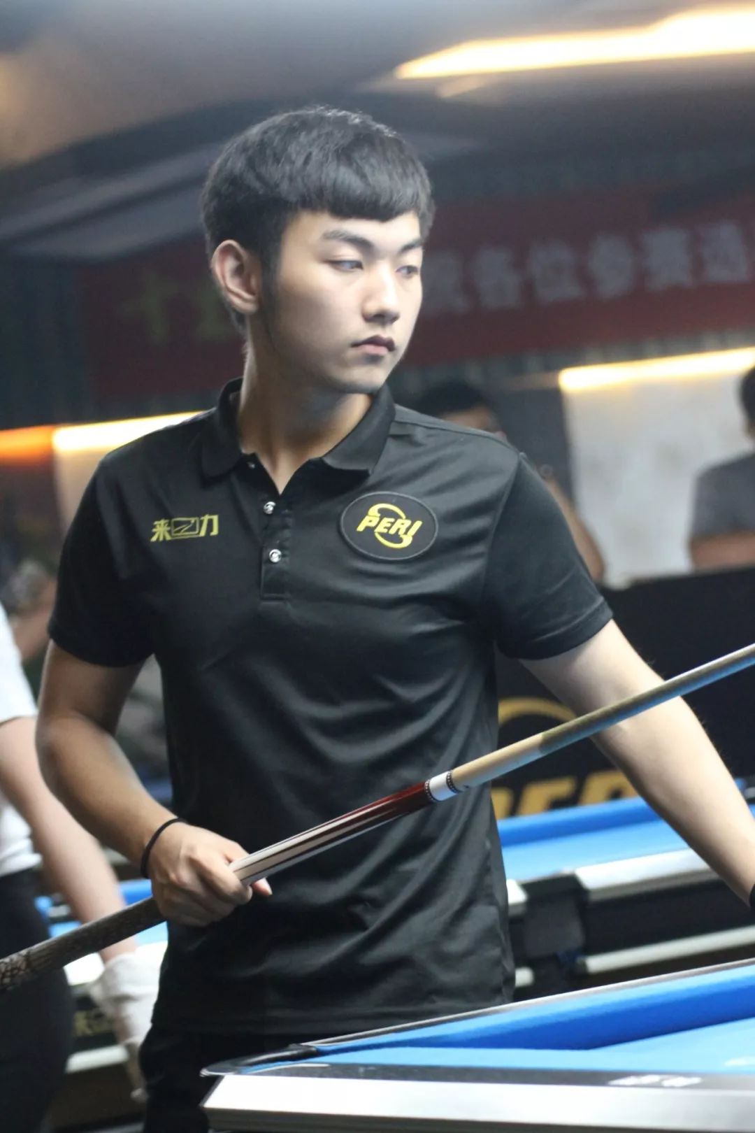 这一概念 这一概念